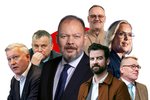 Hliðarbisness alþingismanna