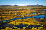 Getur Ísland staðið við alþjóðlegar skuldbindingar um náttúruvernd utan Evrópusambandsins?